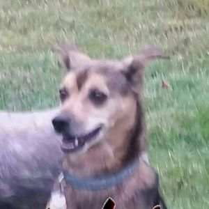 Meet your Posher, Logan